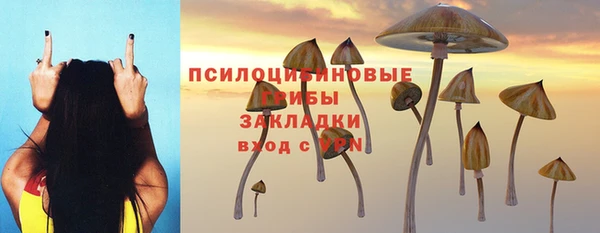 apvp Корсаков