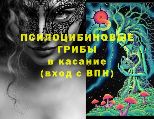 apvp Корсаков